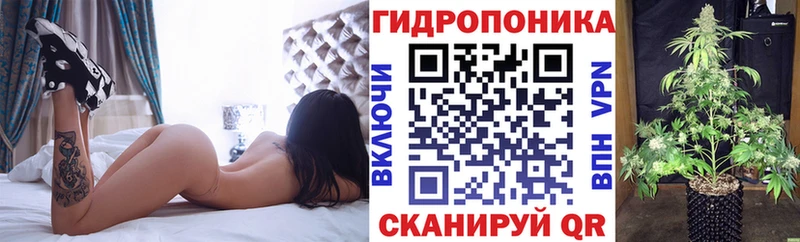 купить наркотик  Белёв  blacksprut tor  Шишки марихуана AK-47 